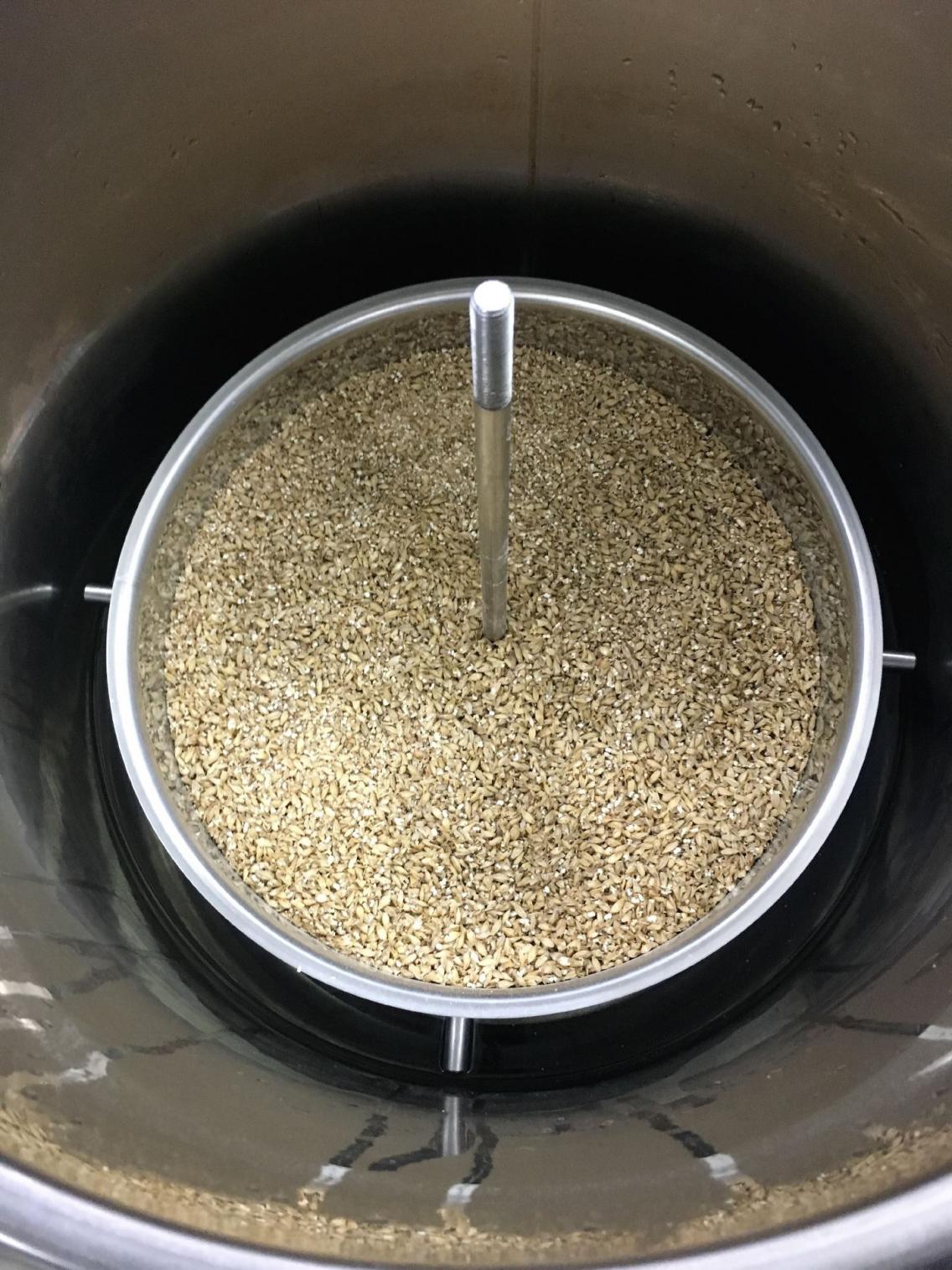 Einmaischvorhgang im Braumeister 50 Liter