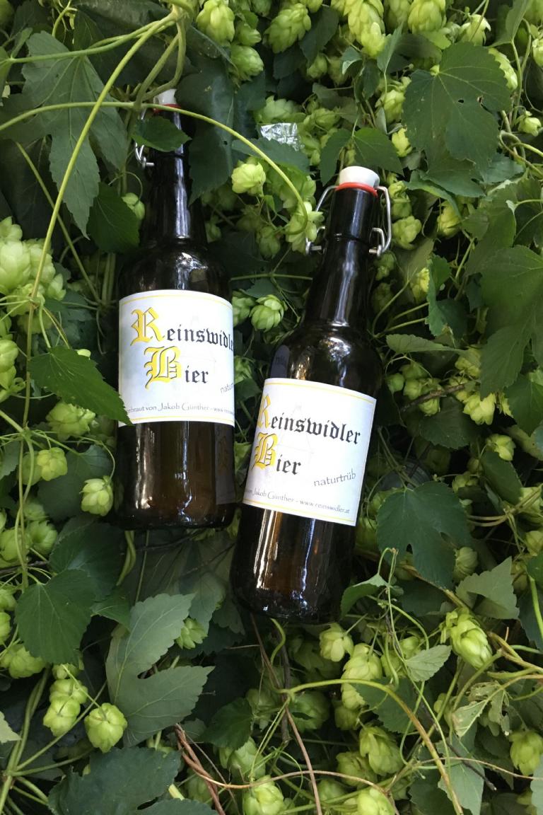 Zwei Bierflaschen zwischen Hopfendolden