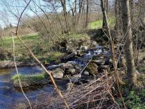 Altes Mühlwehr der Haselmühle