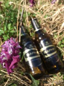 Blüte und Bierflaschen
