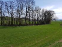 Blick in Richtung Ybbsfeld