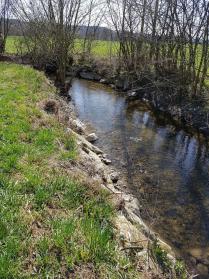 Bachlauf