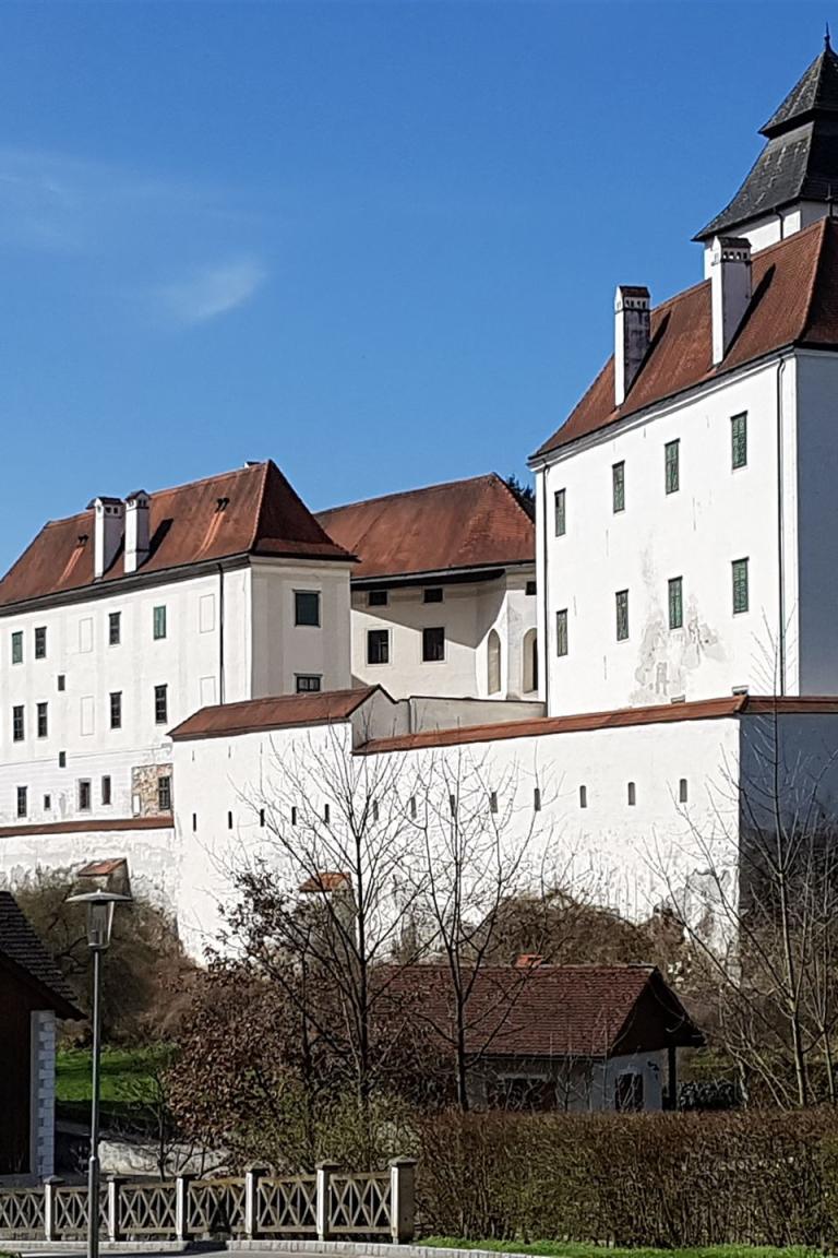 Das Schloss Seisenengg