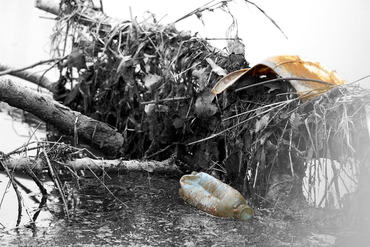 Müll im Bach